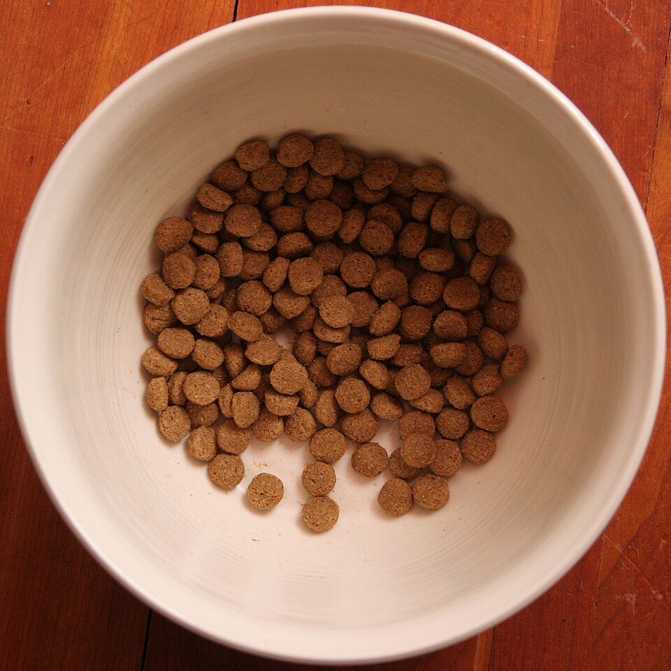 Cat Treats, Salmon 6 oz